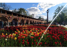 IMG 20240518 163719.jpg