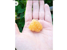 IMG 20240526 141351.jpg