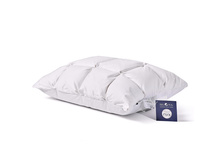 ������� ������� "Orion" 50 *70 �� (� ������������� ������), ����� ����� ���== 3500 �