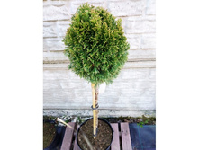 ��� �������� Maks C4-5 �� 40-50 20-25, 4275 ���