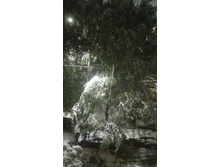 7 ��� 2024.....