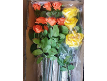 PHOTO-2024-05-04-15-14-20 (1).jpg