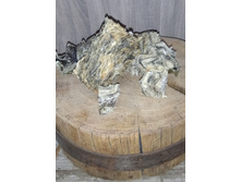 ���� ������