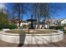 IMG 20240501 123126.jpg