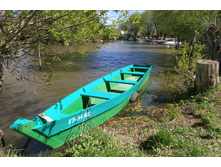 IMG 20240503 125845.jpg