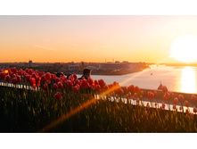 IMG 20240522 195537.jpg