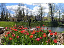 IMG 20240501 124527.jpg