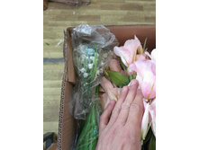 PHOTO-2024-05-04-17-27-05 (1).jpg