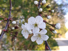 IMG 20240503 174551.jpg