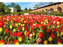 IMG 20240518 165018.jpg