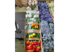 PHOTO-2024-05-04-17-27-04 (1).jpg