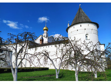 IMG 20240503 160255.jpg