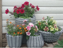 ��� � ���� ������