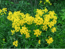 20240602 �� ������-������� 141604.jpg