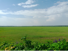 20240612 5 ������� hard+lite 150701.jpg