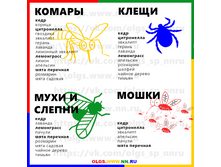 ������� ����� ������ ���������