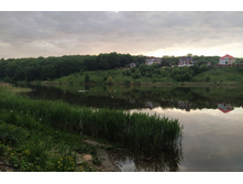 IMG 20240602 194808.jpg