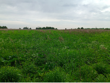 20240602 �� ������-������� 141049.jpg