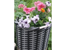 �������� � �����