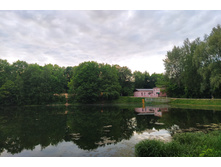 IMG 20240602 192444.jpg