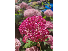 ����. ���������� ������ +24�