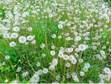 20240602 �� ������-������� 113610.jpg