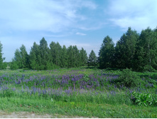 20240612 5 ������� hard+lite 153623.jpg