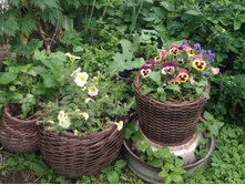 ��������