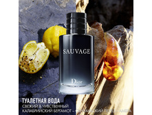 DIOR SAUVAGE ��������� ���� | 100 ��