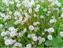 20240602 �� ������-������� 113626.jpg