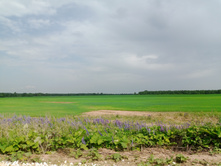 20240612 5 ������� hard+lite 145610.jpg