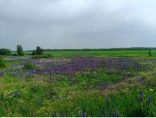 20240612 5 ������� hard+lite 150213.jpg