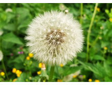 IMG 20240602 191107.jpg