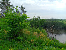 20240602 �� ������-������� 144221.jpg