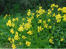 20240602 �� ������-������� 141616.jpg