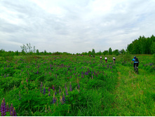 20240602 �� ������-������� 111258+.jpg