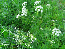 20240602 �� ������-������� 141144.jpg