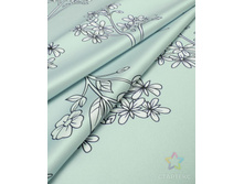 ���� ����� �����