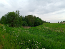 20240602 �� ������-������� 141528.jpg