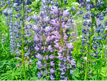 20240612 5 ������� hard+lite 120949.jpg