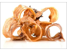 ������ ������ 2-3��