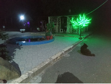 20240629 ������-600 ���������� 224803.jpg