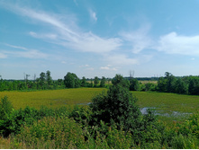 20240630 ������-600 ���������� 150557.jpg