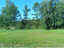 20240629 ������-600 ���������� 073816.jpg