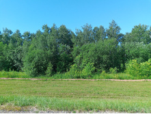 20240629 ������-600 ���������� 075123.jpg