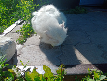 20240629 ������-600 ���������� 154623.jpg