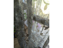 IMG 20240712 131348.jpg