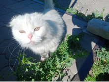 20240629 ������-600 ���������� 154842.jpg