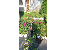 ����������� viber 2024-07-08 16-54-01-704.jpg