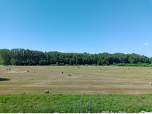 20240629 ������-600 ���������� 085555.jpg